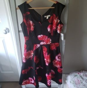 Dress Barn Black Dress with Floral Pattern
